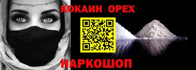 гашик Боровичи