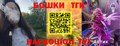 гашик Боровичи
