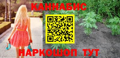 гашик Боровичи
