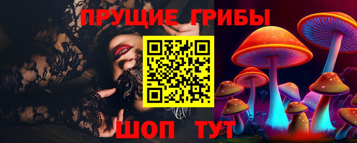 Псилоцибиновые грибы мицелий Асино