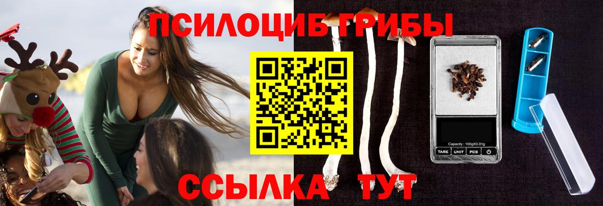 Асино  Псилоцибиновые грибы MAGIC MUSHROOMS  Вход с VPN 