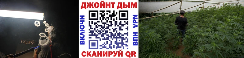 купить наркоту  Асино  Шишки марихуана Ganja 